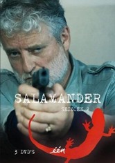 Salamander: A Mystery