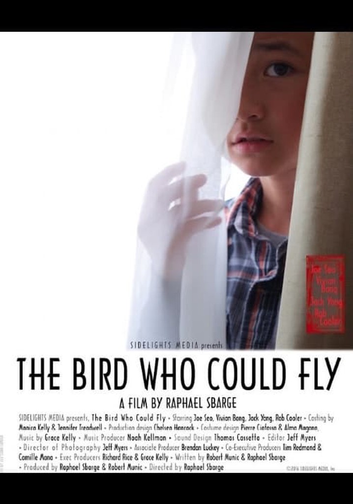 The Bird Who Could Fly