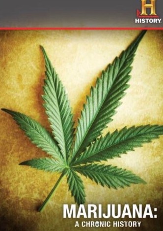 Marijuana: A Chronic History