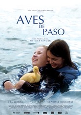 Aves de paso