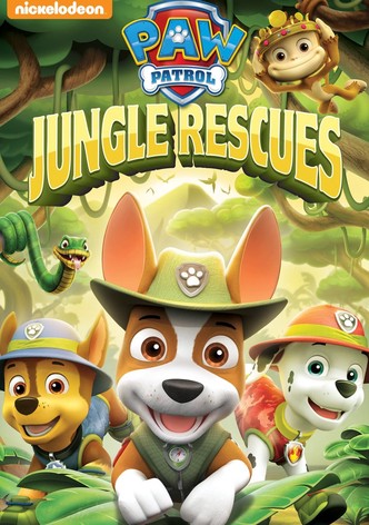 Paw Patrol: Jungle Rescues