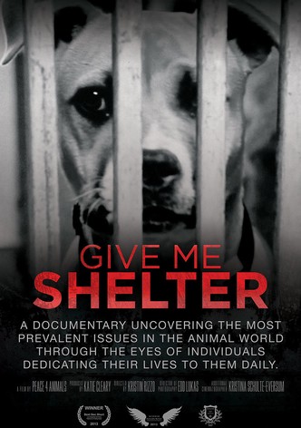 Give Me Shelter