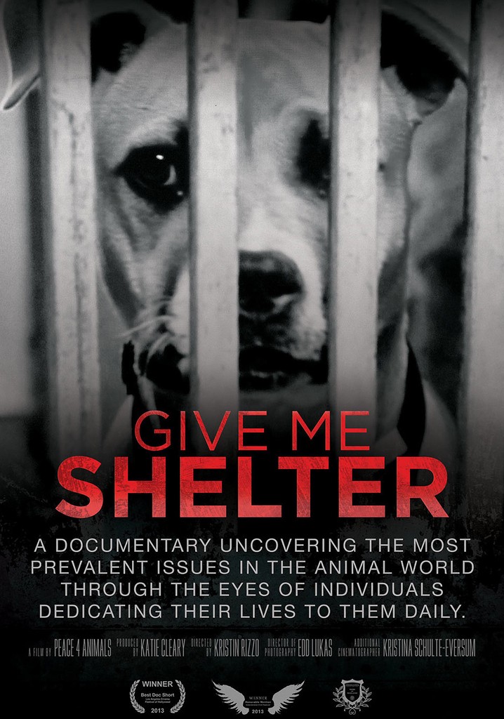 Give Me Shelter