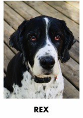 Rex