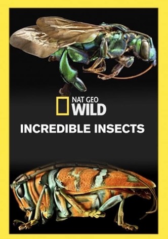 Incredible Insects