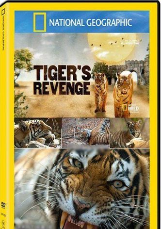 La venganza del tigre