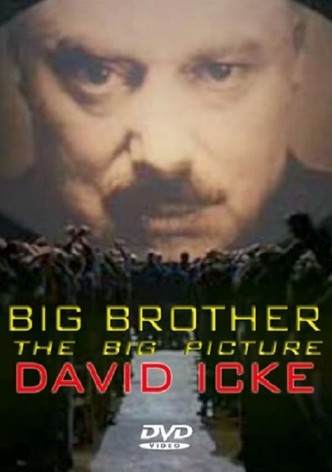 Big Brother: The Big Picture