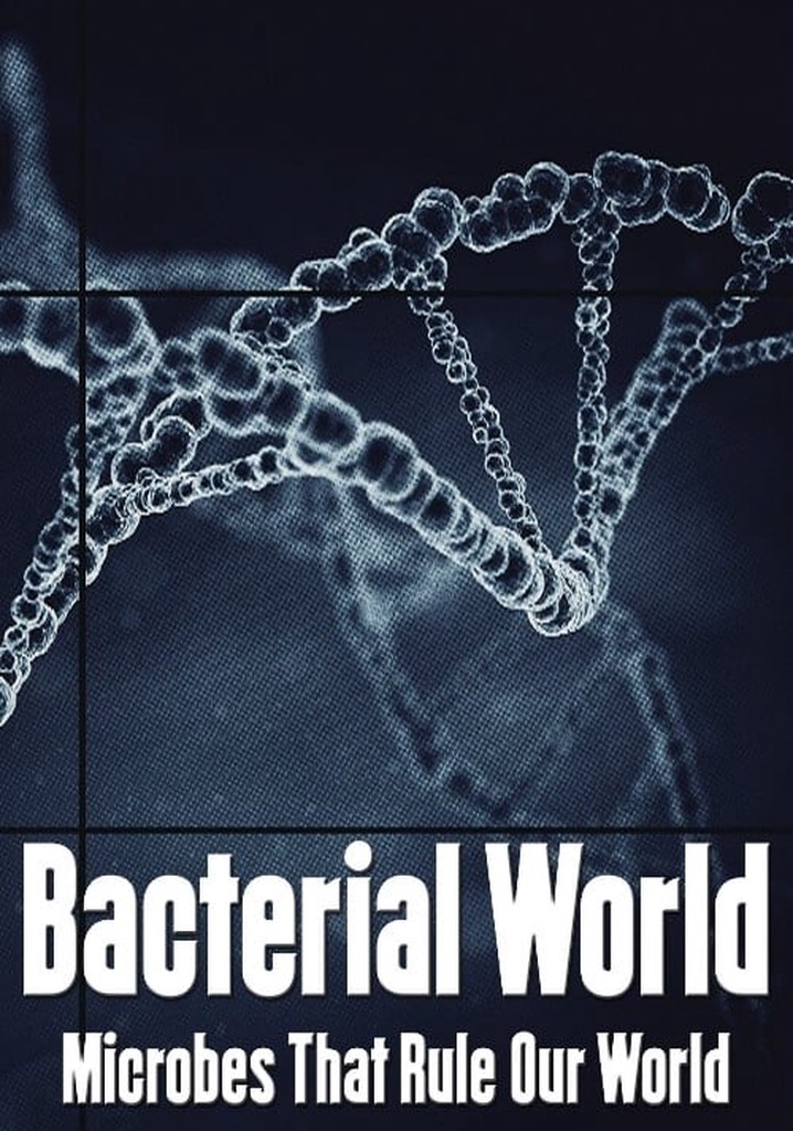 Bacterial World
