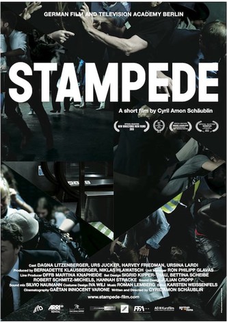 Stampede
