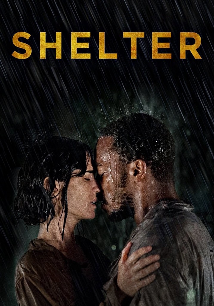 shelter movie