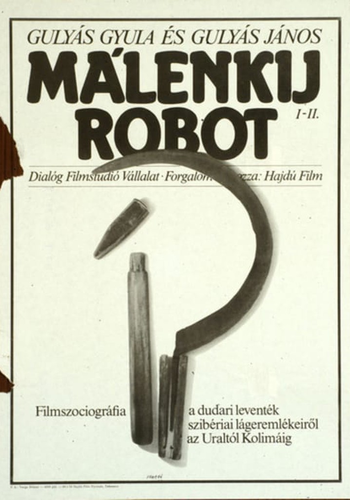 Malenkij robot