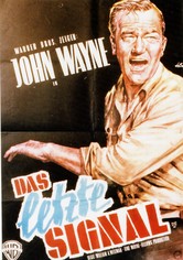 Das letzte Signal