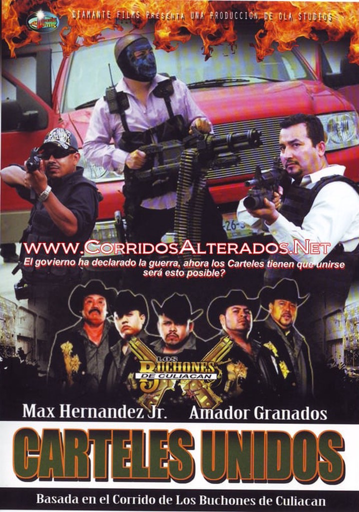 Cárteles unidos