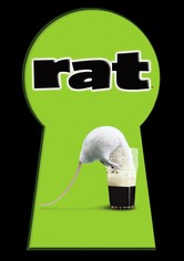 Rat