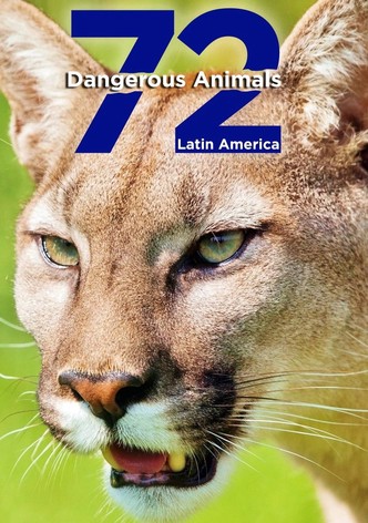 72 Dangerous Animals: Latin America