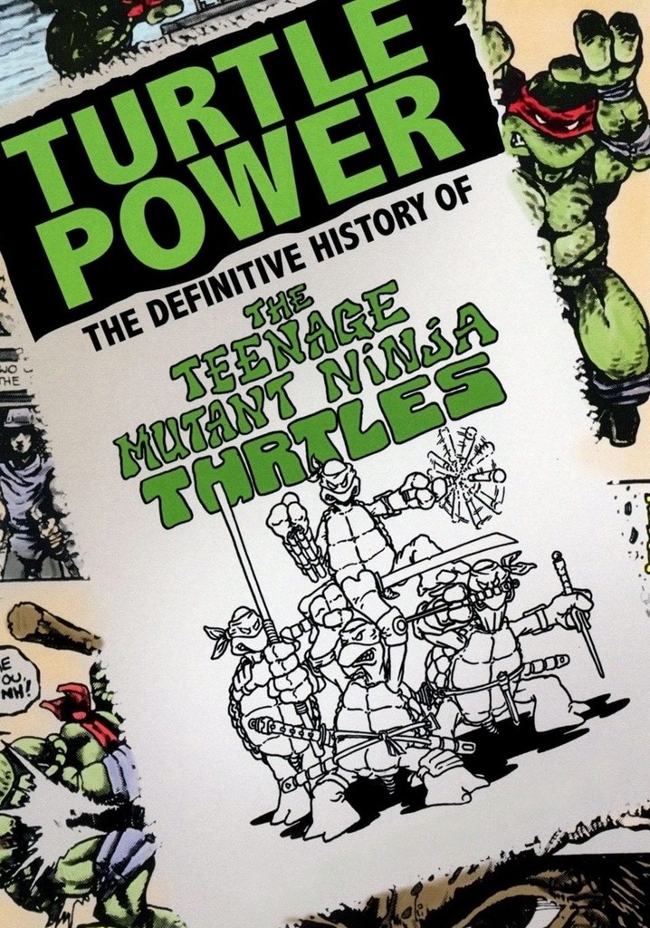 Turtle Power: The Definitive History Of The Teenage Mutant Ninja Turtles DVD  SIGNED – Kevin Eastman Studios