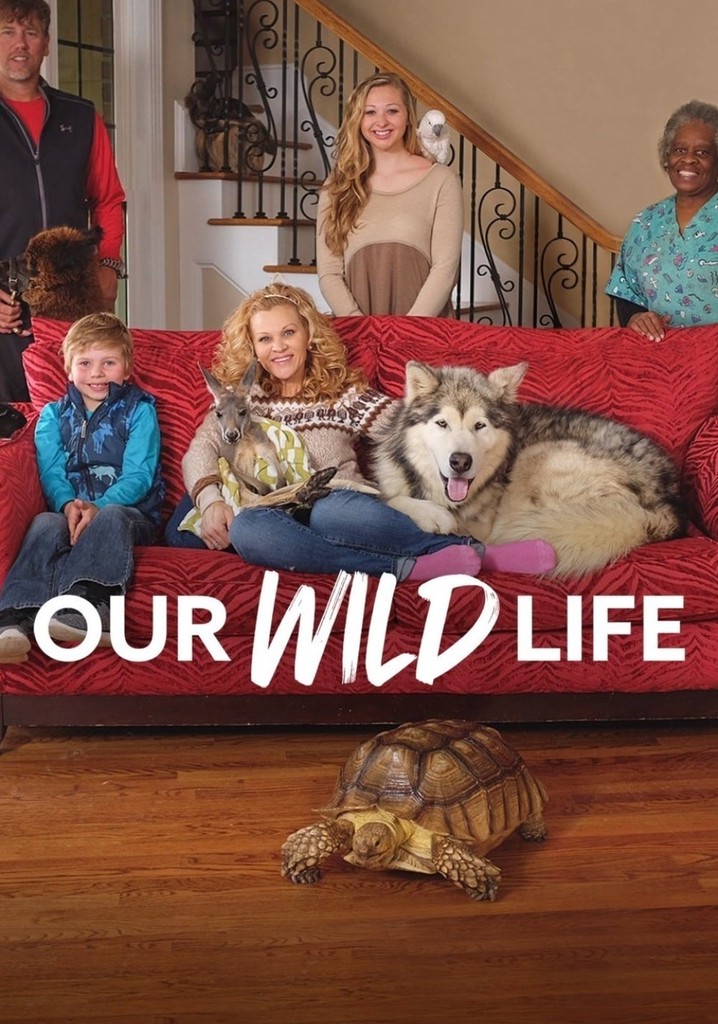 Our Wild Life streaming tv show online