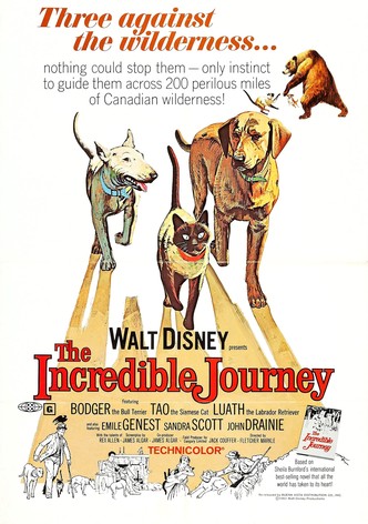 The Incredible Journey