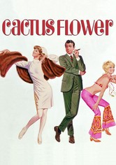 Cactus Flower