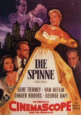 Die Spinne