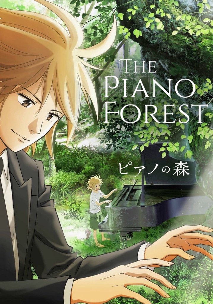 Le Piano Dans La Forêt Film Regarder la série Le Piano dans la forêt streaming
