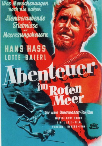 Abenteuer im Roten Meer