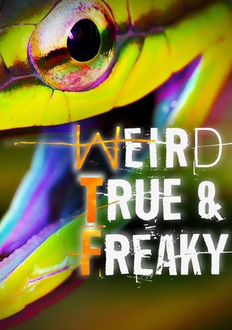 Weird, True & Freaky