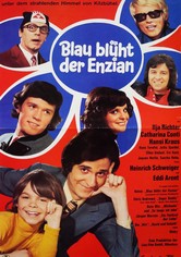 Blau blüht der Enzian