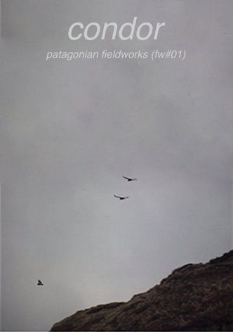 Condor