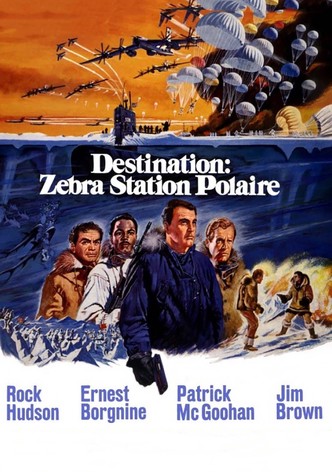 Destination : Zebra, station polaire