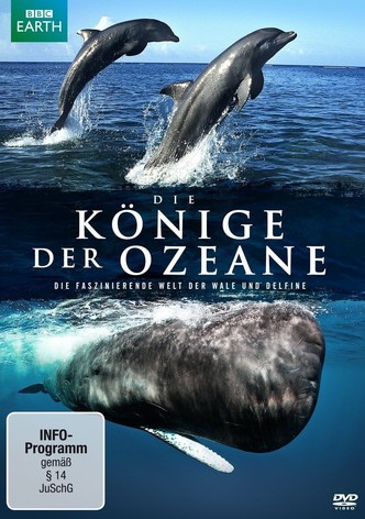 Die Könige der Ozeane