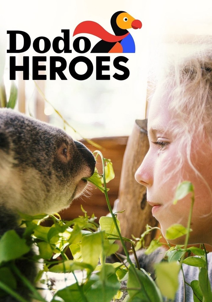 Saison 1 Dodo Heroes streaming où regarder les épisodes?