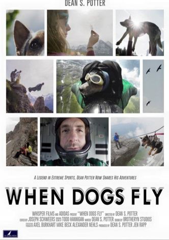 When Dogs Fly