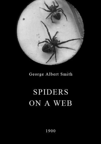 Spiders on a Web