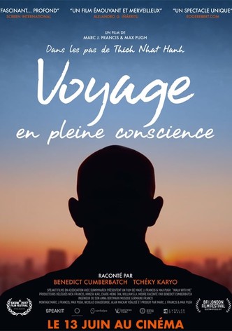 Voyage en pleine conscience