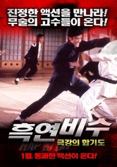 흑연비수