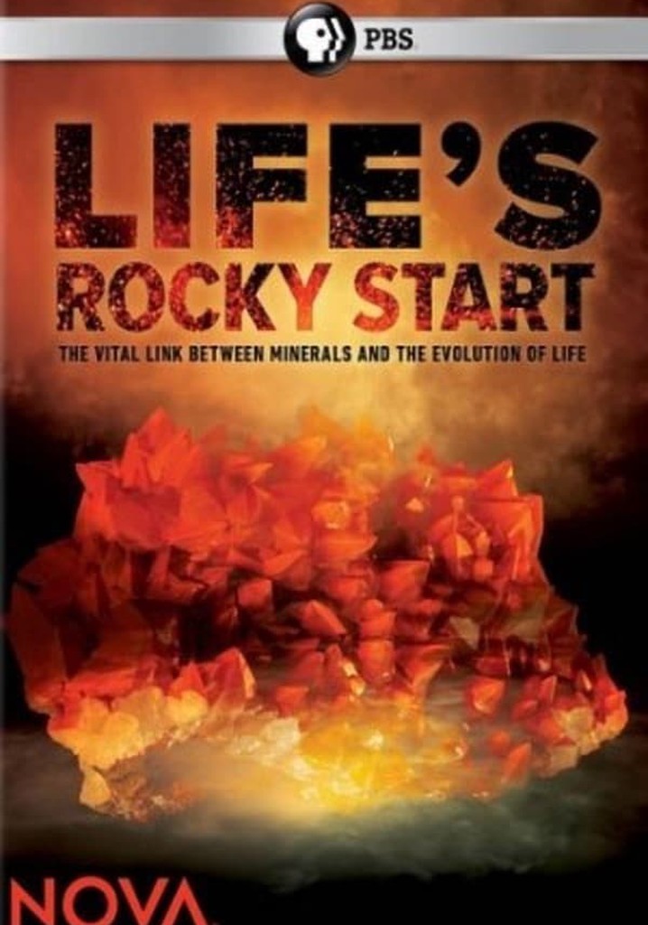 NOVA: Life's Rocky Start
