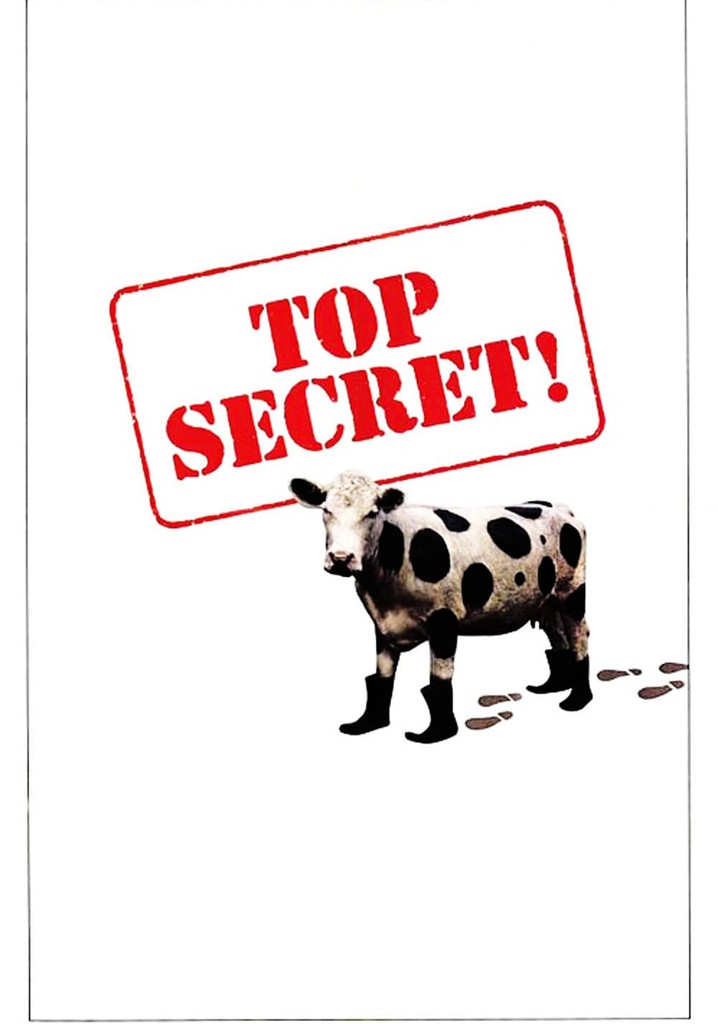 Top Secret! streaming: where to watch movie online?