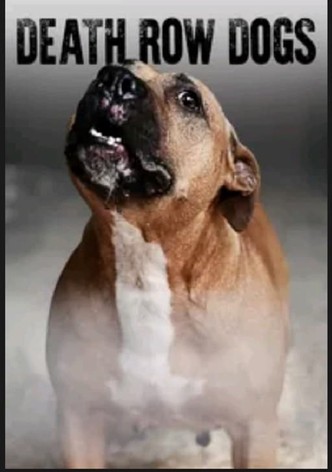 Death Row Dogs
