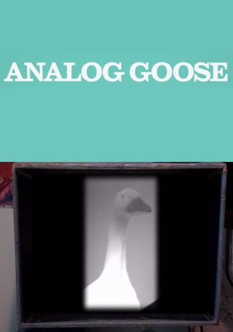Analog Goose