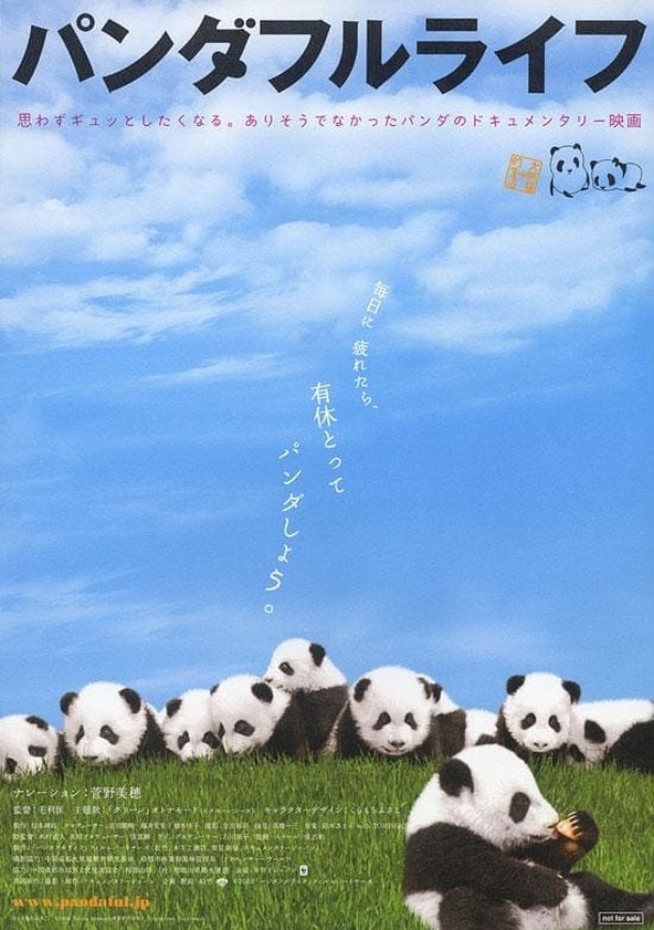 Panda day. Дневник с пандой. Журнал Панда.