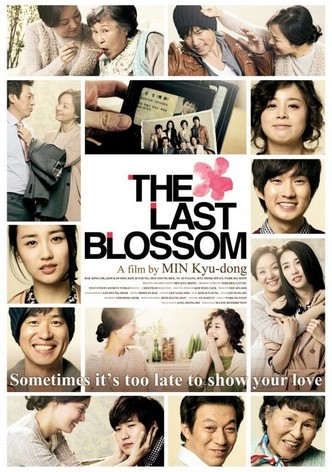 The Last Blossom