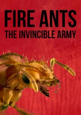 Fire Ants 3D: The Invincible Army