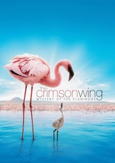 The Crimson Wing: Mystery of the Flamingos