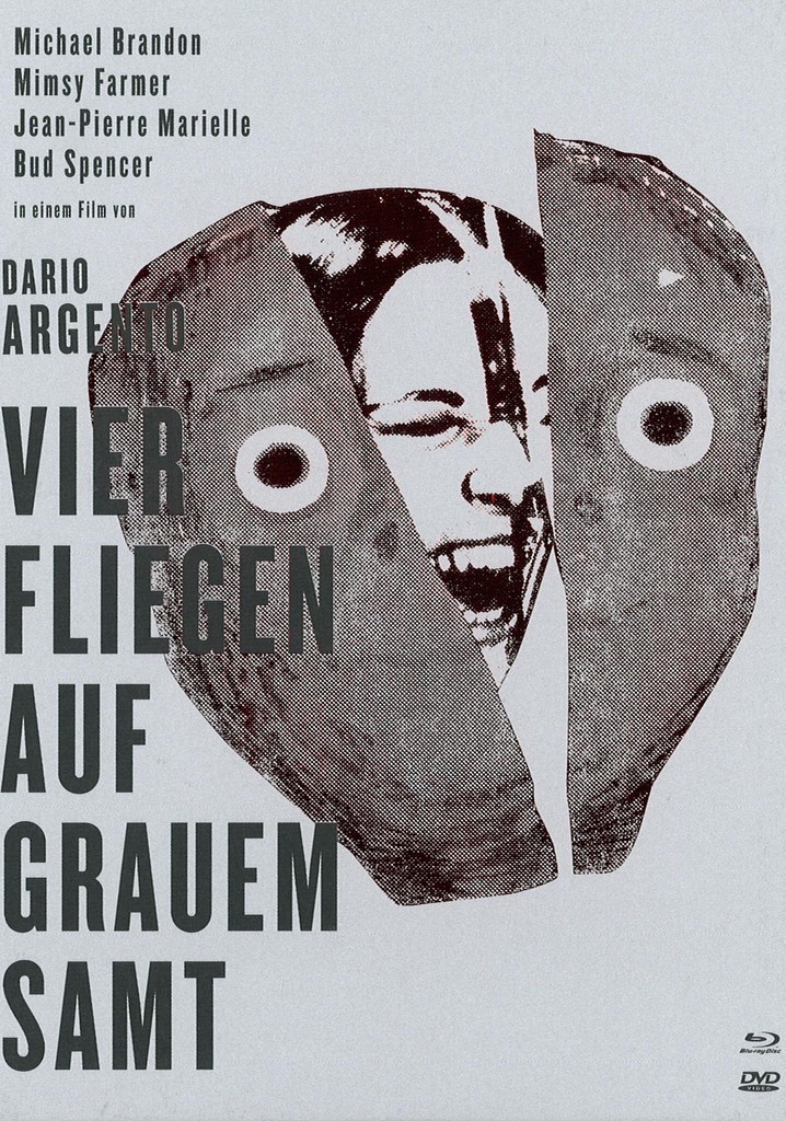 Der Fall der vier Fliegen