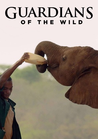 Guardians Of The Wild S03