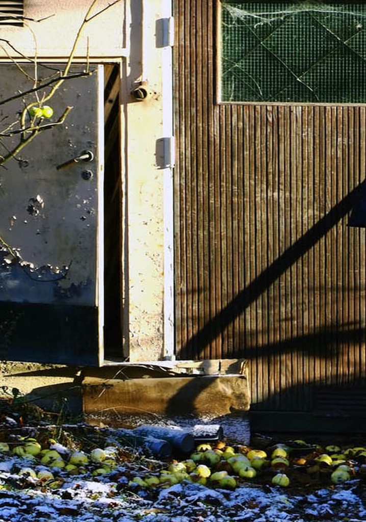 Dagerman: en garage musical