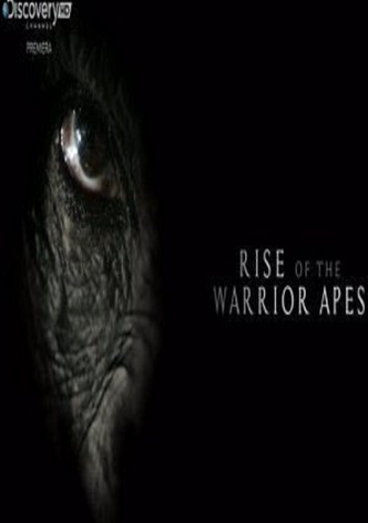 Chimpanzés Guerreiros de Uganda