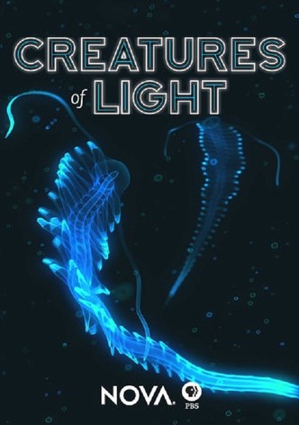 Creatures of Light