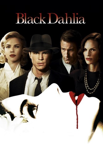 Black Dahlia